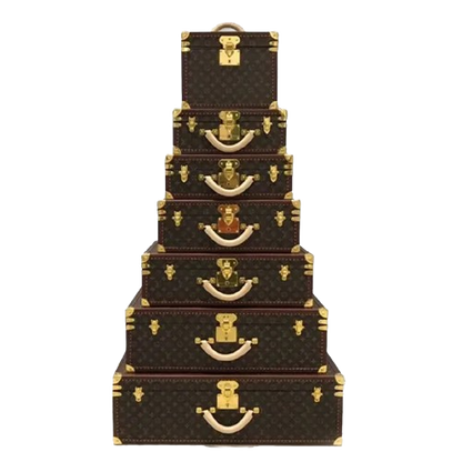 CUSTOM LV ALZER SUITCASE