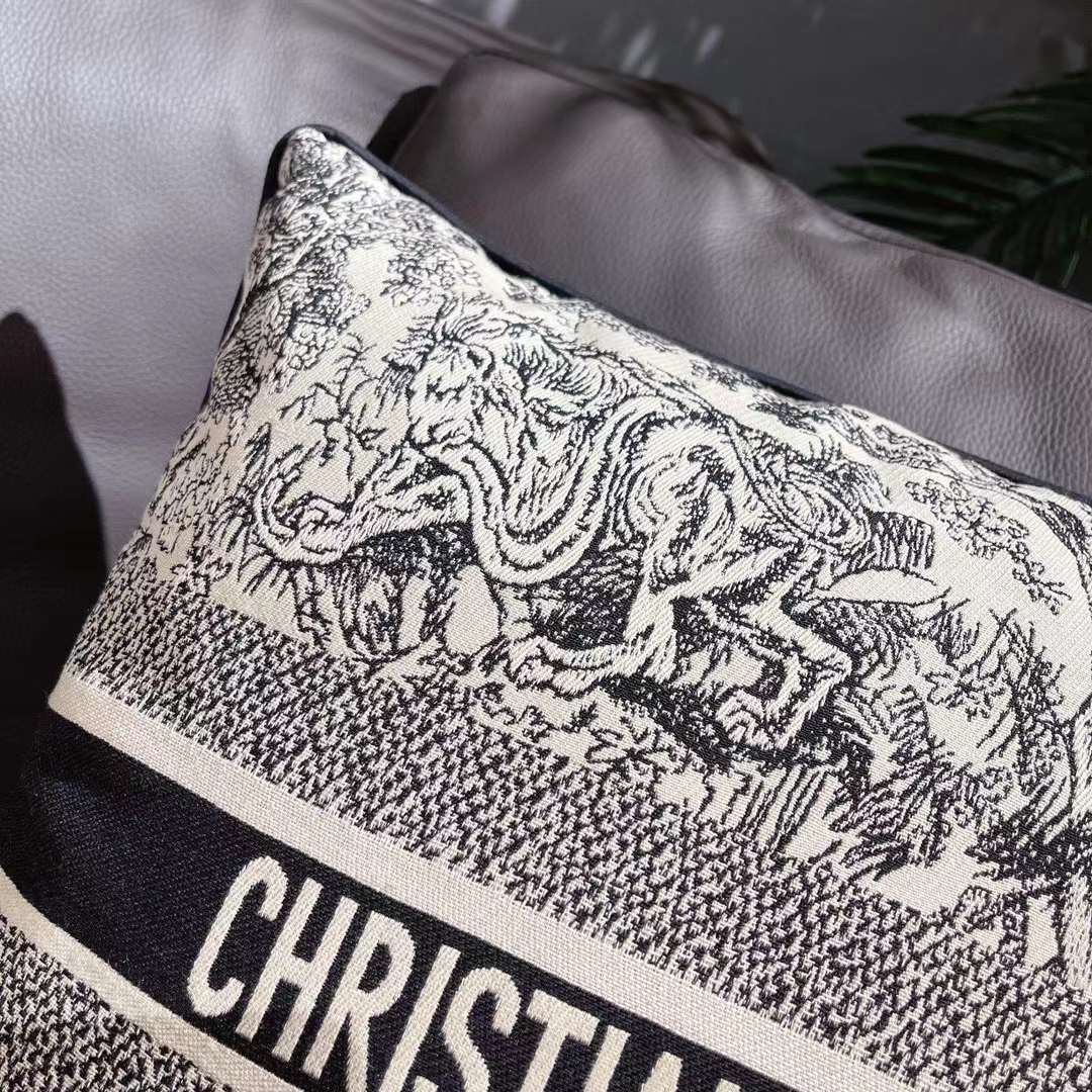 CHRISTIAN THROW PILLOW 2.0