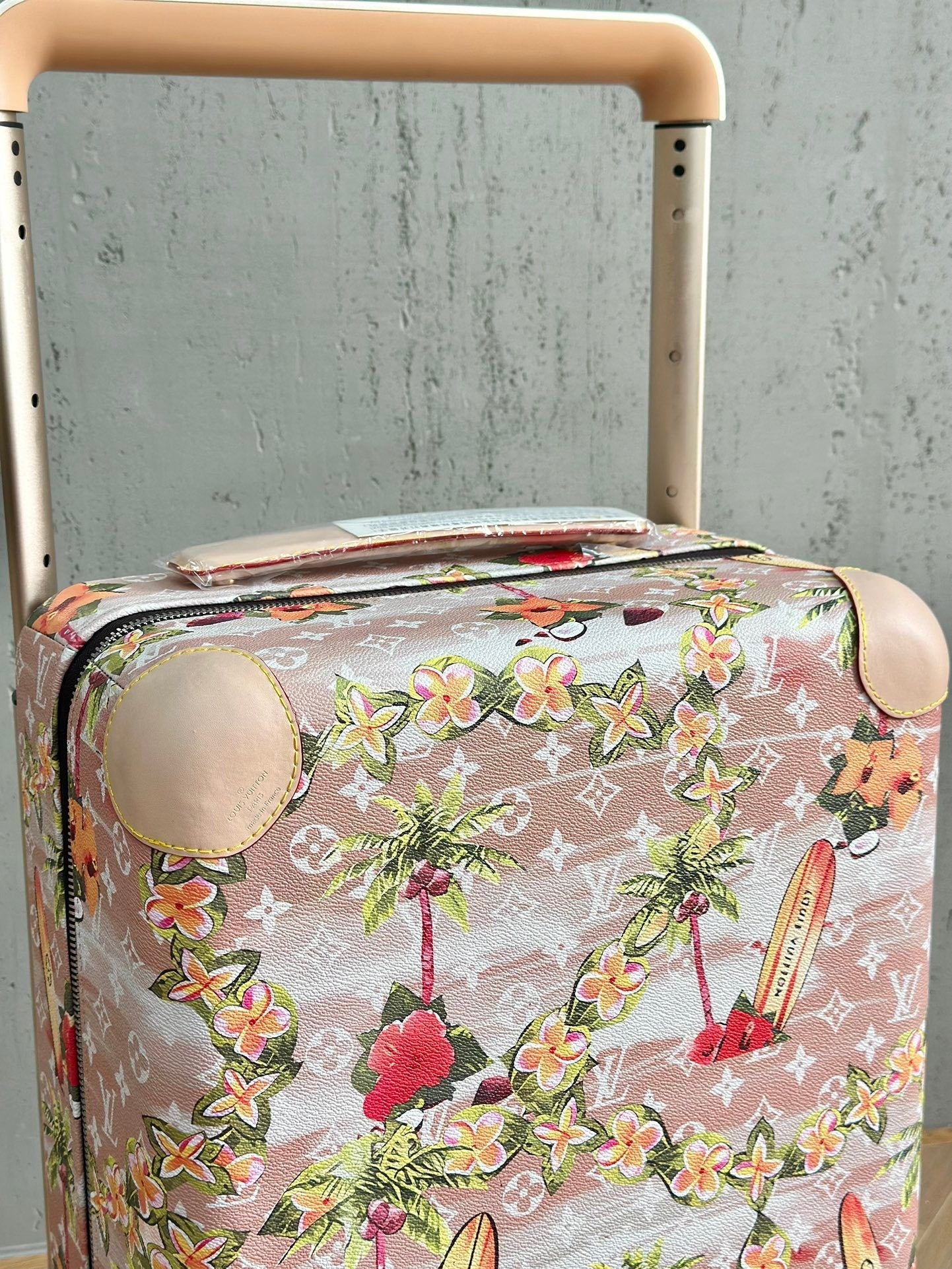CUSTOM SUMMER SURFING CABIN 37L HORIZON 55 SUITCASE