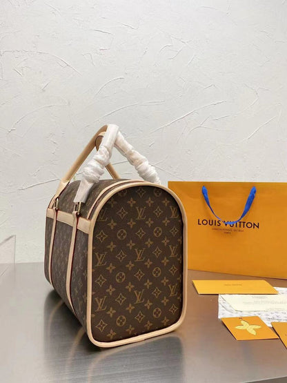CUSTOM LV PET BAG