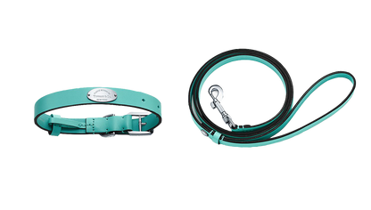 TIFFANY DOG BOWL, COLLAR AND LEASH