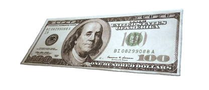100 DOLLAR BILL RUG