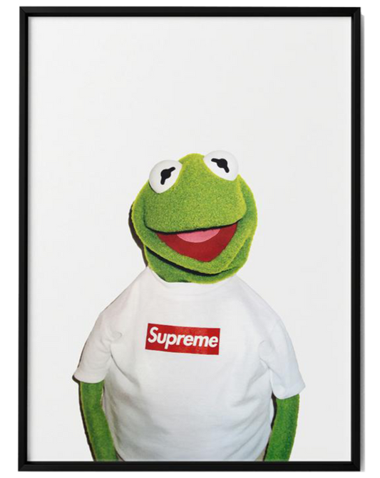 "KERMIT THE FROG" WALL FRAME